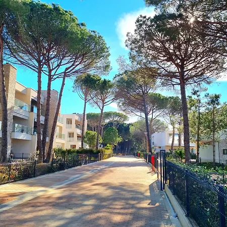 公寓 Sandy Pine Retreat - 300